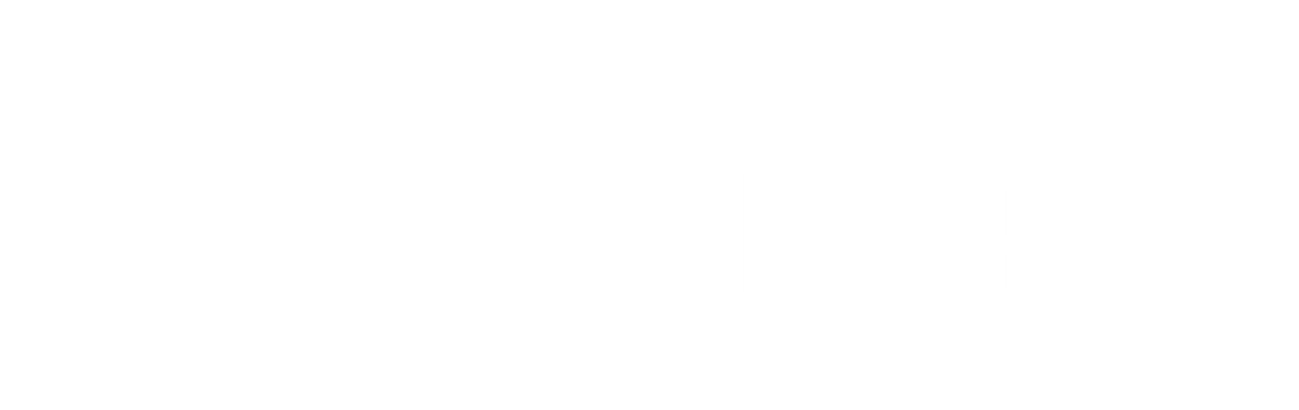 Für Eigentümer 2 Steiners Hotel Logo
